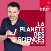 Des briques du vivant découvertes dans les échantillons d’astéroïde rapportés sur Terre par la sonde Osiris-Rex