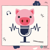 ReproPig