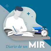 Diario de un MIR