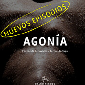 Conclusiones anticipadas III