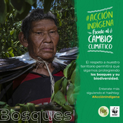 Spot 10. Acción Indígena Frente al Cambio Climático.
