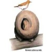 La aventura de la vida - Titi, mi primer amigo