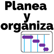 Planea y organiza