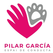 Espai de Conducta