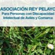 Noticias Rey pelayo