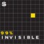 program image