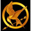 program image