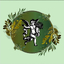 program image