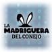 Mundo Cripto