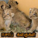 Tamil Podcasts by Devarajan