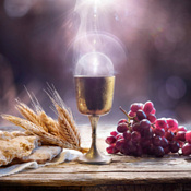 Espacio en blanco - La tragedia de los buscadores del Grial - 21/12/25