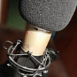 Columnas sobre música