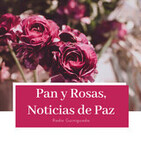 Pan y Rosas , Noticias de Paz 2022-05-16