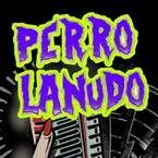Perro Lanudo