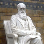 El legado de Darwin por John Dupré 