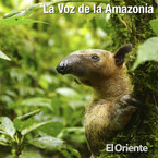 La Voz de la Amazonía