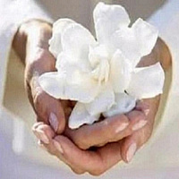 Podcast Reflexiones de Luz y Amor