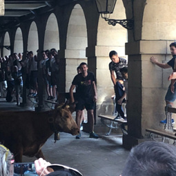 How to Stop the Revolution