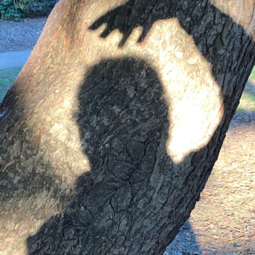 Wake up to Good Sleep