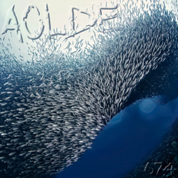 Al Otro Lado del Espejo#674-25-10-25