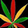 Marihuana RADIO GANJA Cannabis