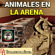 Animales en las arenas de los anfiteatros