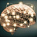 La Ciencia | El cerebro de la memoria y la sabiduría