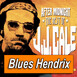 JJ CALE ✬ by (Blues Hendrix)