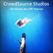 CrowdSource Studios Podcasts