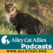 Alley Cat Allies Podcasts
