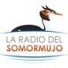 La Radio del Somormujo