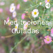 Meditaciones Guiadas S9-6025
