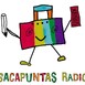 Sacapuntas Radio
