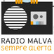 Radio Malva concerts