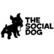 thesocialdog
