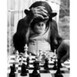 Paul Morphy Chess