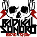 Radikal Sonoro  Radio Show